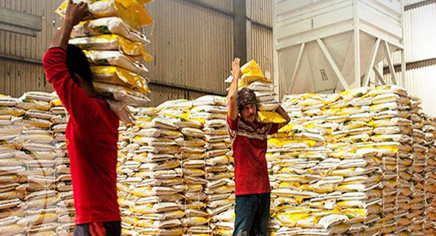 DPR RI Cindy Monica Dorong Kapolri-Jaksa Agung Tindak Tegas 212 Merek Beras Oplosan