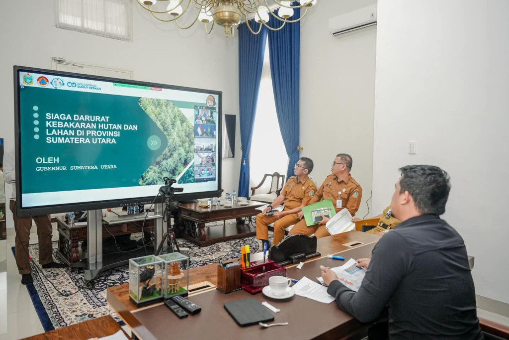 6 Daerah di Sumut Siaga Darurat Bencana Karhutla, 6 Provinsi Prioritas BNPB