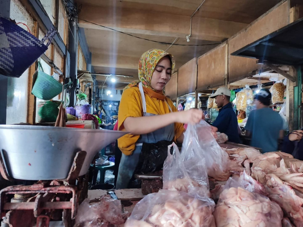 Kementan Pastikan Pasokan Ayam Ras Aman Jelang Natal dan Tahun Baru 2026