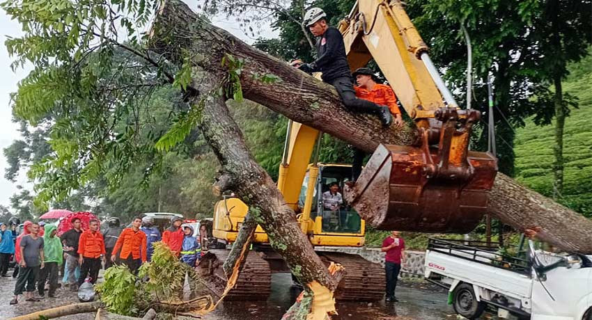 BMKG Minta Masyarakat Waspada Cuaca Ekstrem Sepekan ke Depan, Awas Hujan Lebat