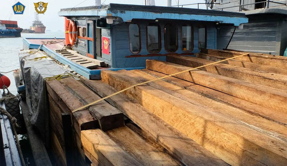 Diduga Hasil Ilegal Logging, 1.250 Keping Kayu Balok Ilegal Diamankan Bea Cukai Batam