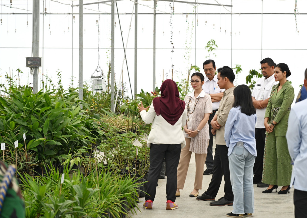 Wapres Gibran Apresiasi Inovasi Riset dan Hilirisasi Produk Herbal dan Hortikultura